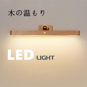LEDCg CeA  CN  USB[d  L N[[bg 800mAh ~[Cg  ؖ VR LED~[ 邳