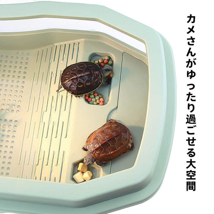 楽天市場】亀の水槽 飼育ケース タートルタンク カメ生息地 日向ぼっこ台 エサ皿 脱出防止フェンス カメ ミドリガメ ザリガニ 観察 送料無料 45cm 甲羅10cmまで対応 : panni 楽天市場】亀の水槽 飼育ケース タートルタンク カメ生息地 日向ぼっこ台 エサ皿 脱出防止フェンス カメ ミドリガメ ザリガニ 観察 送料無料 45cm 甲羅10cmまで対応 : panni