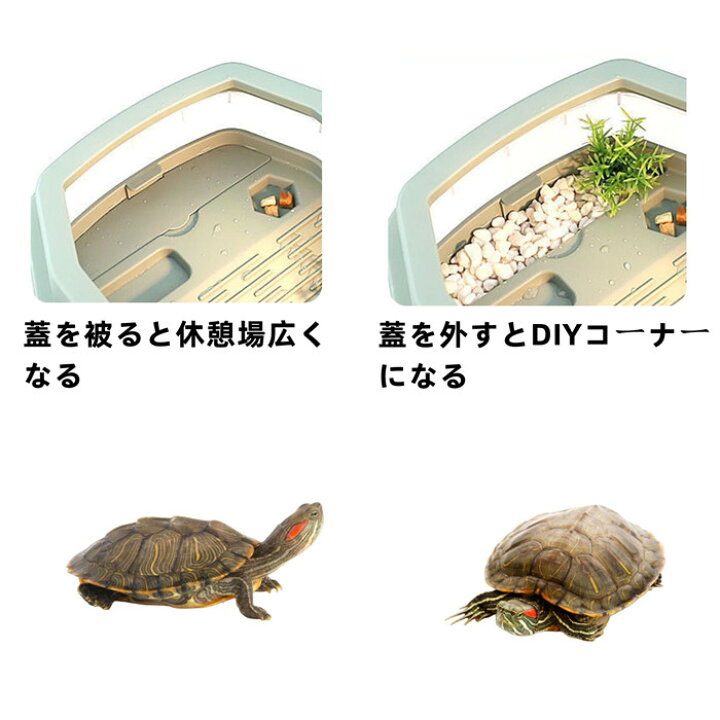 楽天市場 亀の水槽 飼育ケース タートルタンク 大きい カメの水槽 カメの飼育ケース 日向ぼっこ台 エサ皿 脱出防止フェンス カメ ミドリガメ ザリガニ 観察 送料無料 65cm 甲羅10cmまで対応 Panni