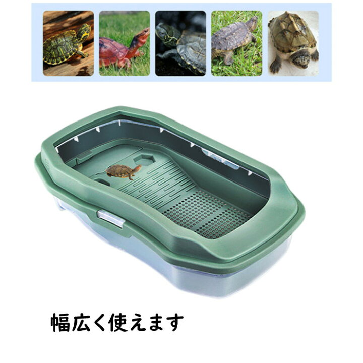 大特価放出 ウミガメ水槽 脱走防止 掃除が簡単な水槽 スッポンの生息地 プラスチック容器 Applepress Ca