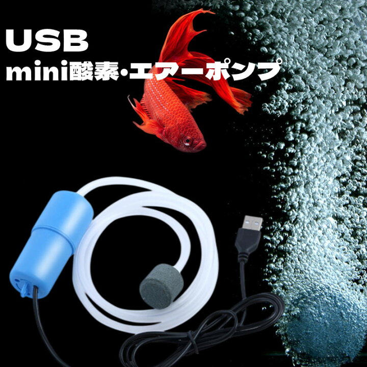 楽天市場 Usbエアーポンプ 水槽用エアーポンプ 酸素エアーポンプ Usb 静音 1ワット 最大1 2l Min 空気ポンプ 省エネ シリコンチューブ 魚タンク エビ ザリガニ 屋外 室内 兼用 Panni
