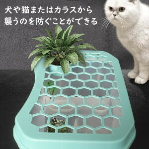 T J Eoh~ tFX Jo[ t^ W OG hb h ~͒u  TCY