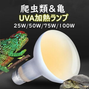 ঒ރv d P[Xp 110V UVA T J v UVdMv q[^[d  gJQ Jp xRg[[d nƖ