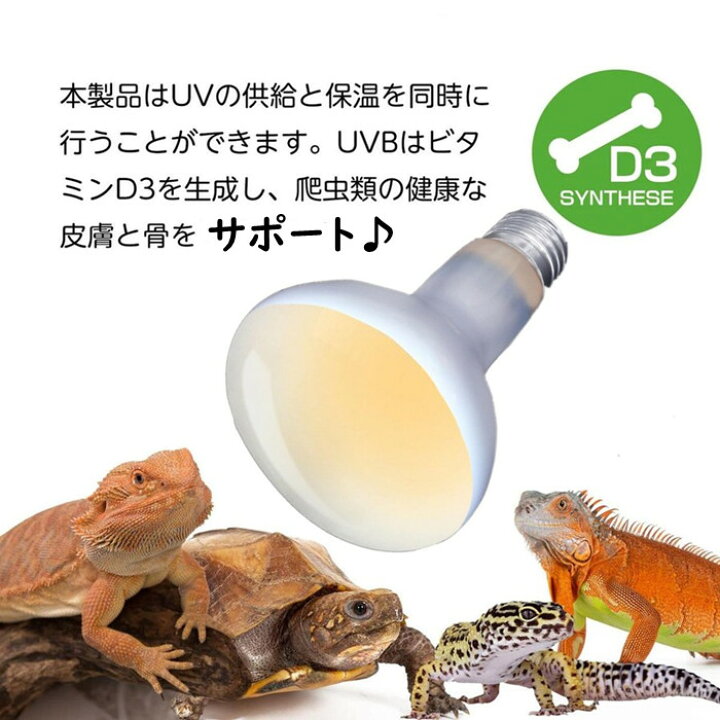 楽天市場】爬虫類ランプ 電球 飼育ケース用 110V UVA 亀 カメ ランプ 