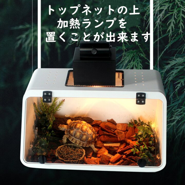 楽天市場 亀 水槽 カメ 飼育ケース ボックス タートルタンク 爬虫類 浮島つき ハムスター アクリル窓 ロックつき 観察 通気孔 排水孔 階段 エサ皿 広い 大空間 送料無料 Panni