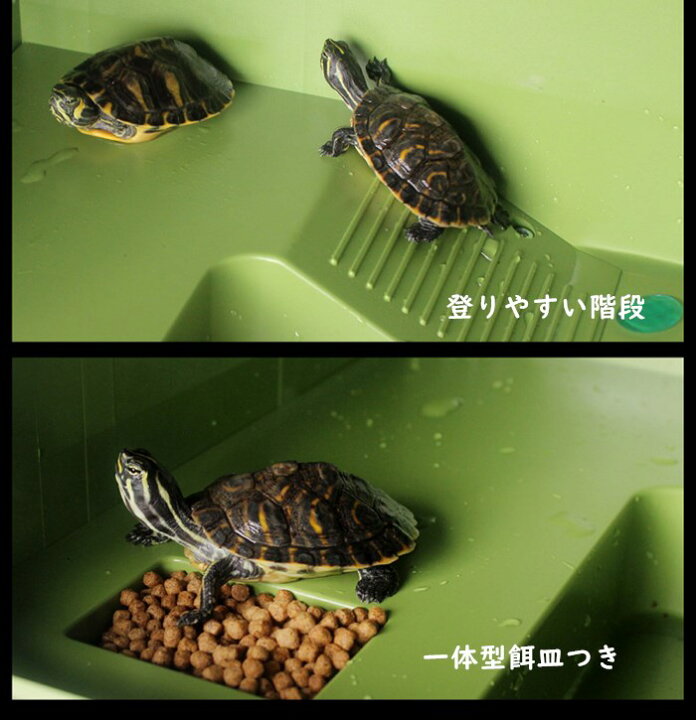 新品 本物 当店在庫だから安心 カメの隠れ家バスキングロックスひげを生やしたドラゴンアクセサリー爬虫類両生類水槽の装飾小 Herblaboratory Co Jp