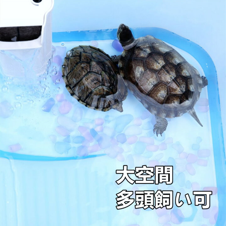 楽天市場 亀 水槽 カメ 飼育ケース ボックス タートルタンク 日向ぼっこ台 ミドリガメ クサガメ スッポン 観察 排水孔 階段 エサ皿 送料無料 サイズ大 Panni