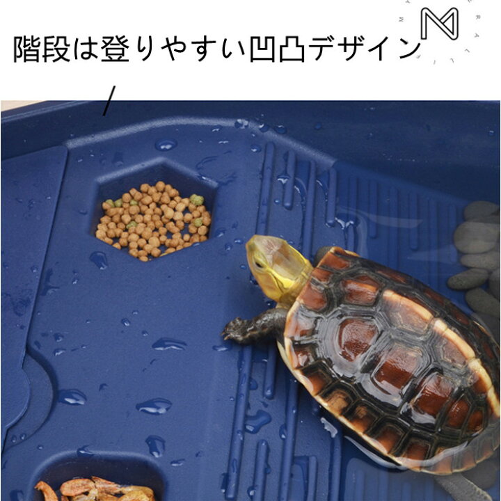 楽天市場 亀 両生類 水槽 飼育ケース タートルタンク カメ生息地 日向ぼっこ台 エサ皿 脱出防止フェンス カメ ミドリガメ ザリガニ 観察 送料無料 65ｃｍ Panni