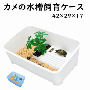 T̐ J JP[X Ĵ T J{bNX ^[g^N ̐^ ڂ Ki GTM DIYR[i[ 傫 ^  TCY