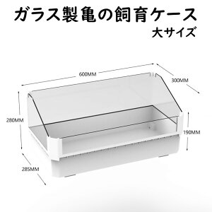 T̐ KX ^[g^N 傫 60cm Tp L P[X J̉ eE ₷ I[v^ ւ֗ a p[c ȒP Yɂ 肰ȂCeA T