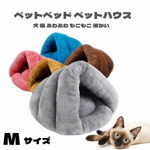 ybgxbh ~p Lxbh ӂӂ g xbh LnEX h[^  Lbgxbh Q p  ~p 肱 MTCY