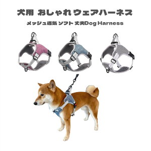 uԕiۏ؁v p n[lX ybgn[lX  EFAn[lX  Lbg hbO bV \tgn[lX bVf xXg ^ ^ ^ 