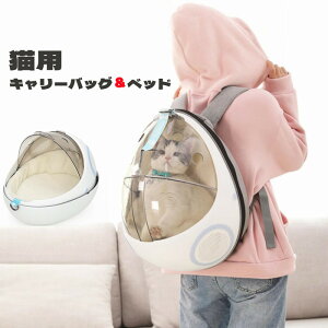  lR nEX Lbg L[ bN 􂦂 R Ag+ ybg L xbh 2WAY h AEghA PURRPY F h[ t ʉ@ s U Mtg