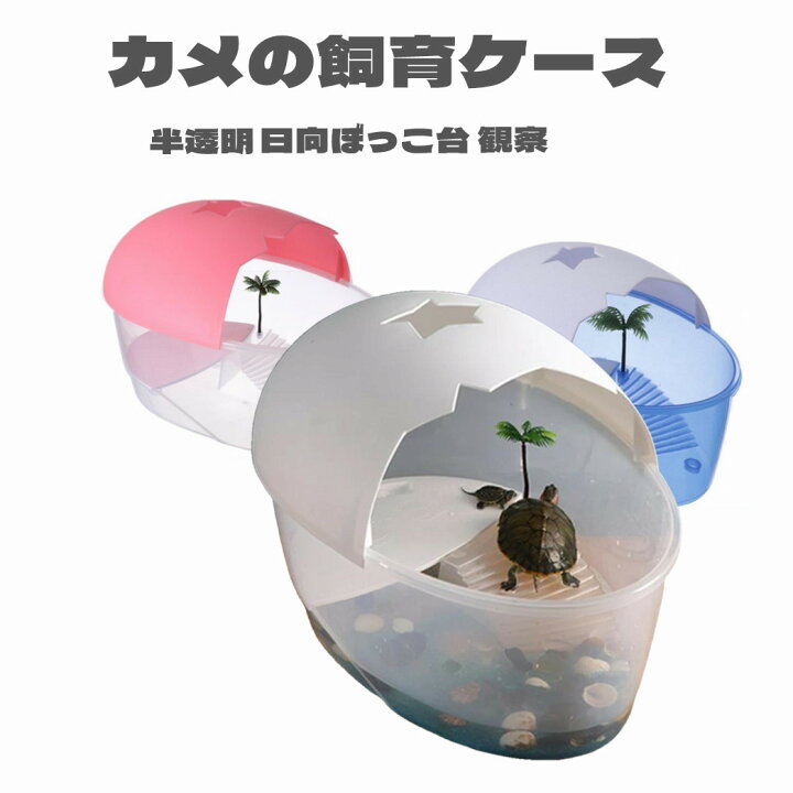 楽天市場 送料無料 亀の水槽 カメ用水槽 大きい カメの水槽 爬虫類 水槽 飼育ケース タートルタンク カメ 生息地 日向ぼっこ台 エサ皿 日よけ 排水孔あり ３カラー ザリガニ 観察 サイズ大 送料無料 Panni