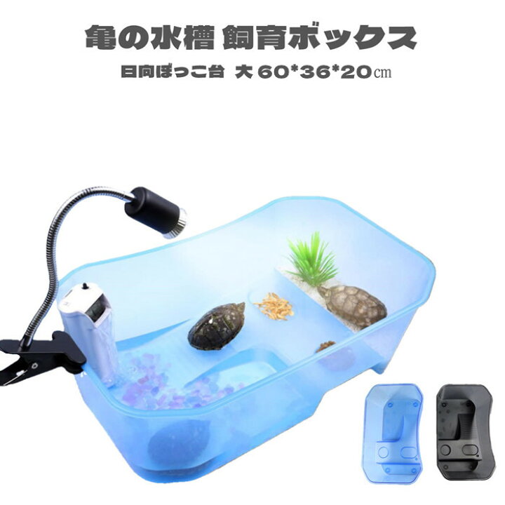 楽天市場 亀 水槽 カメ 飼育ケース ボックス タートルタンク 日向ぼっこ台 ミドリガメ クサガメ スッポン 観察 排水孔 階段 エサ皿 送料無料 サイズ大 Panni