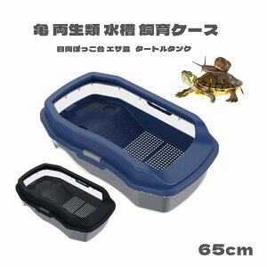 爬虫類 両生類用飼育アクセサリー 飼育ケース 大の人気商品 通販 価格比較 価格 Com