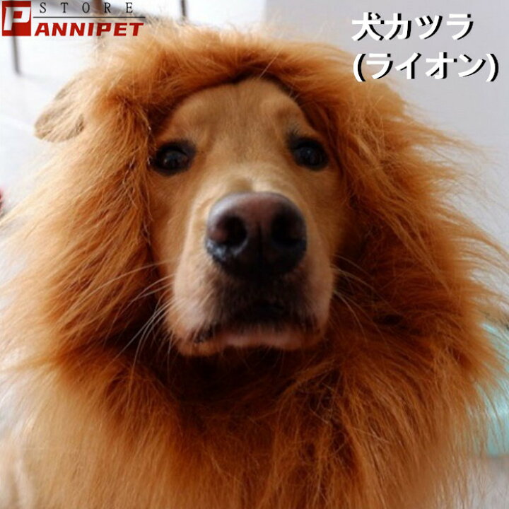 楽天市場 1000円ポッキリ ポイント消化 犬 ウィッグ カツラ アクセサリー ライオン コスプレ 中型犬 大型犬 かわいい ユニック 面白い フリーサイズ おしゃれ Panni