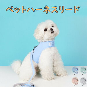 uԕiۏ؁vybg n[lX+[hZbg pn[lX p Lp xXgn[lX Lp  bVn ybgp \tg UObY    SU o