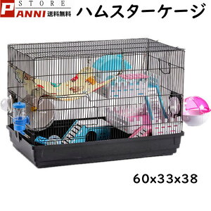 nX^[P[W nX^[nEX B Zbg 炩 L ʋCQ gȒP  ^ 񂵎 GTM {E  ߋV[\ x_ ώ@₷  Iׂ3J