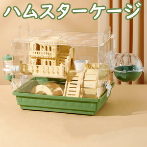 nX^[P[W  AN nX^[ P[X 悭 ؐ   [ Xe[W tg nVS V[\ GTM {E zC[    gݗ