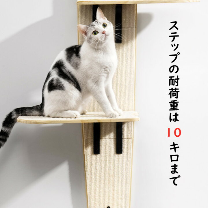 楽天市場】キャットステップ ドア掛け キャットタワー キャット 
