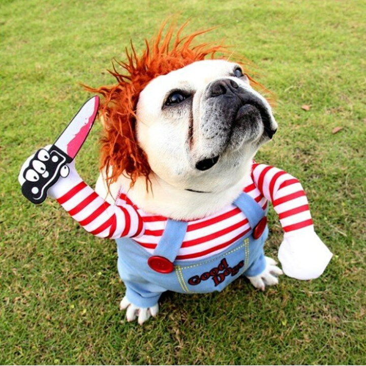 送料無料 ペット服 犬服 ハロウィン 犬の服 チャッキー
