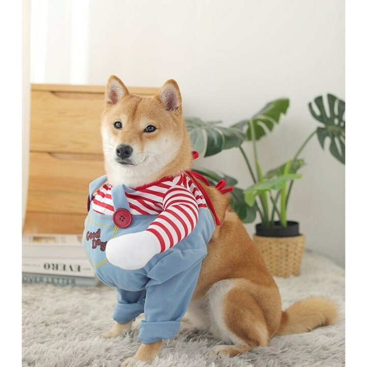 楽天市場 返品交換保証 犬服 チャッキー服 犬用 ハロウィングッズ 面白い ウケる 犬の服 クリスマス かわいい 面白い コスプレ 爆笑 変装 ドッグクローズ ドッグウェア 送料無料 Panni 楽天市場 返品交換保証 犬服 チャッキー服 犬用 ハロウィングッズ 面白い ウケる 犬の服 クリスマス かわいい 面白い コスプレ 爆笑 変装 ドッグクローズ ドッグウェア 送料無料 Panni