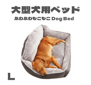 ^xbh xbh ybgxbh NbV xbh H~ ^ ^ Vv 傫TCY ӂӂ _炩 薰