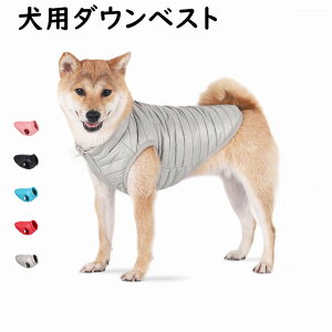 uԕiۏ؁vybgp _ExXg DO _ER[g ~ g AE^[ WPbg ybgpTVc   ̕ ybg hbOEFA 킢  tVc L 