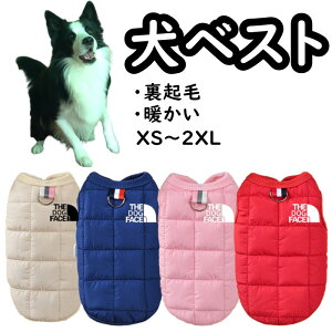  ~ xXg N Ȃ AE^[ DO U g   Jt  h ` ~j`A_bNX gCv[h _bNX ybgpi d˒ xXg ӂӂ