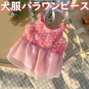 hbOEFA   XJ[g skirt L 킢 o [X pEFA ybgEFA s[X hX ĕ t  XJ[g p[eB[ ^p  U o| K  