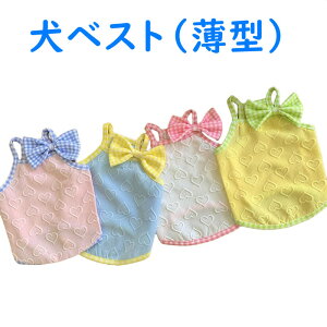   xXg   킢 Vv hbOEFA Ci[ ^Ngbv { n[g ʕ Ck ^ |jA rVt[[ gCv[h ` [NV[ V