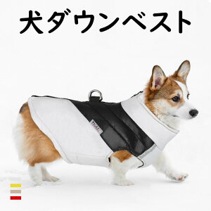 ̕ hbOEGA ~ AE^[ hbOEFA _E xXg   DOt  o֗ ̃WPbg R[g [htbNt ^ ^ V