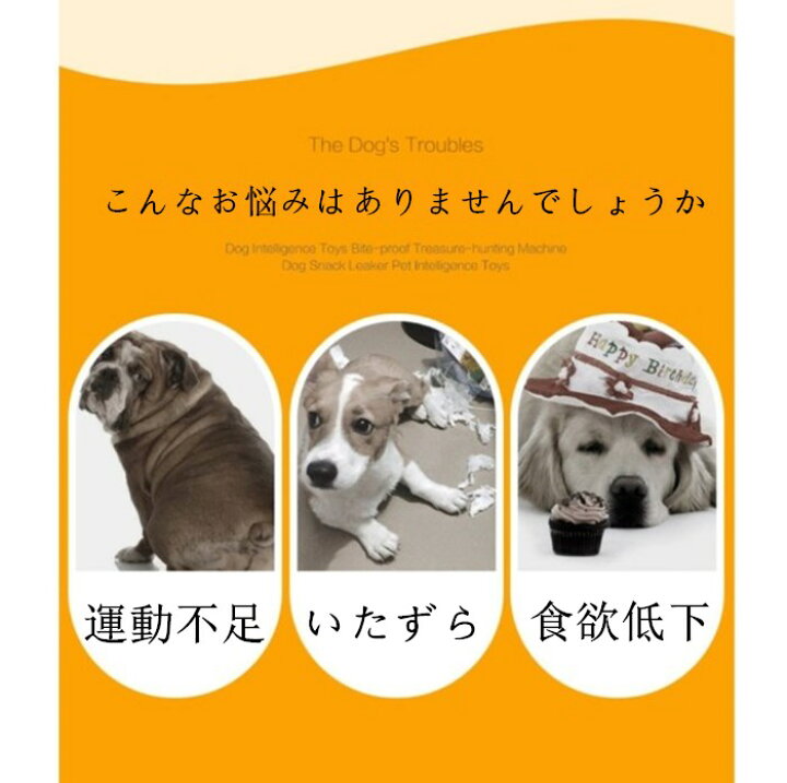 楽天市場 犬 おもちゃ 餌入れ 知育玩具 おやつ入れ 遊ぶ盤 パズル 知育玩具 Iqステップボール 運動不足の解消 ペットおもちゃ 送料無料 Panniペット