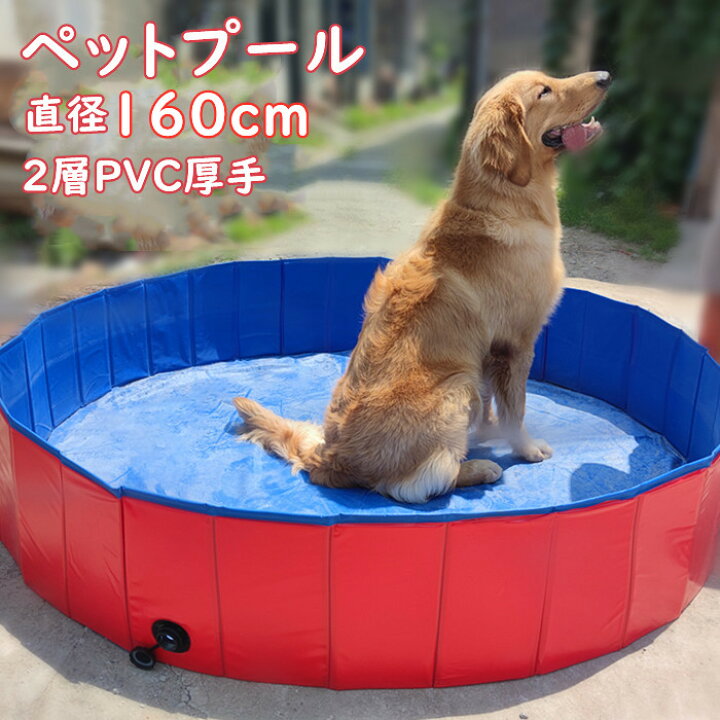 楽天市場】ペットプール 直径160cm 大きいサイズ プール ビニール 