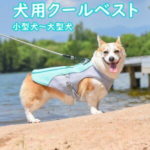  N[xXg ⊴  Ow\ Ђ xXg bV MǑ΍ ^ ^ ^ L ĕ N[ Ђ芴 ڐG⊴ EȒP ʋC Ăh~ o U 