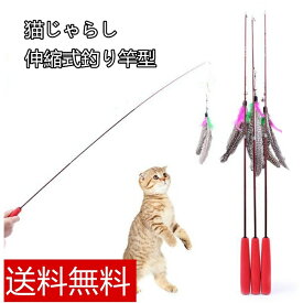 1000円ポッキリ ポイント消化 猫 じゃらし 釣り竿 伸縮式 羽付き 鈴付き 長さ調整 運動不足 ストレス解消 コンパクト 簡易収納 三段調整 送料無料