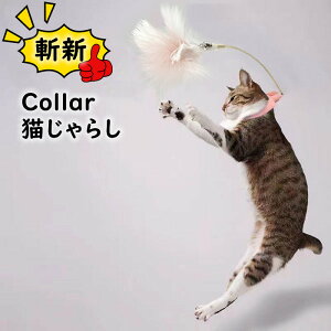 L L炵 lV ֕t L炵 H_ ybg LV  H ЂƂV  ʔ XgX {\h 얞h~ ^s H Lp炵 