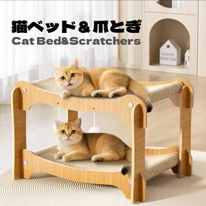 vLxbh܂Ƃ ؐ L ܌ L 2w ߂Ƃ XNb`[ TCU CeA ϋv  _{[lߑւ ^s XgX