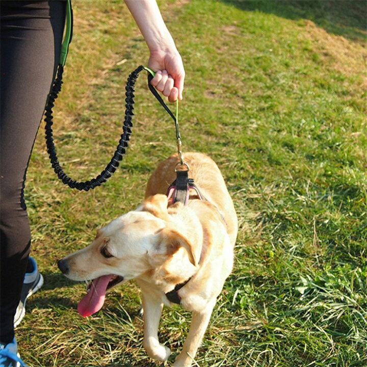 楽天市場 犬用 リード ウェストリード 伸縮 ランニングリード ハンズフリー 散歩 ランニング ジョギング 腰巻け 便利 登山 ペットグッズ 送料無料 メール便対応 Panni