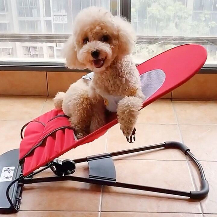 楽天市場 犬ベッド 猫 ハンモックベッド 折り畳み式 ゆりかご 揺れる メッシュ ペット用 スウィングベッド 通気性 角度調節 涼しい 小型犬 中型犬 寝心地良い トイプードル フレンチブルドッグ 耐荷重12キロ コンパクト 収納便利 持ち運び便利 犬連れ キャンプ 送料無料