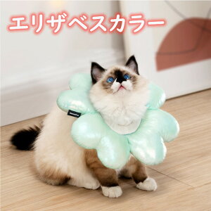 GUxXJ[ p Lp   ی rߖh~ h~ _炩 炩 r r h~ ی  h y 킢 Jt