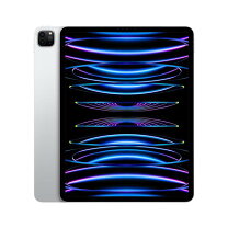 楽天市場】iPad Pro 13インチ Wi-Fi 第7世代 2TBの通販