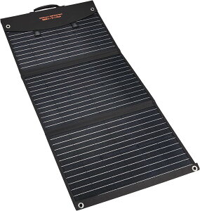 EVERBright 100W \[[pl SSBSP-100W ܂肽 USB-AAC|[ge1