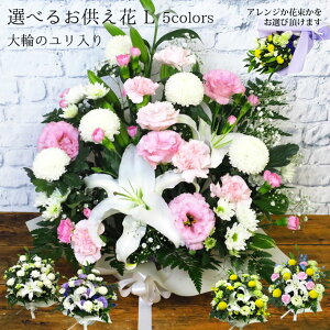 yފ ԁz   Rv.5.0w Iׂ邨 xLTCY 48cm 58cm   ؉  AWg ԑ 䋟  V  @ @v   l\ 49  O