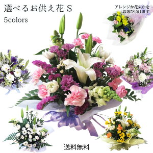    w Iׂ邨 xSTCY 30cm 35cm 45cm  ؉  AWg ԑ 䋟  V   l\ 49  O 3  CG[ sN p[v