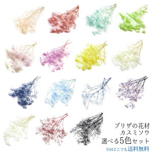 yzԍ vU[uht[ w ԍ ݑ Iׂ5FZbg x hCt[ lߍ킹 ԍރZbg A\[g ԍ ޗ  JX~\E ǐՉ\[ 䂤pPbg 