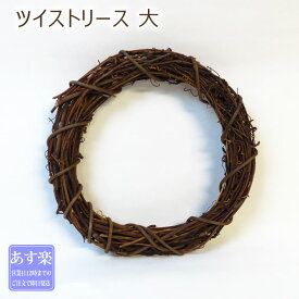 楽天市場 リース 材料 花 観葉植物 花 ガーデン Diy の通販
