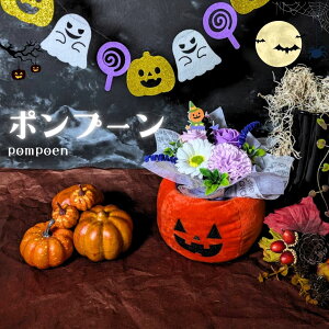  \[vt[ nEB w pompoen |v[ xIׂ4p^[ pvL ڂ Halloween  v`Mtg \[v  Ό  AWg a o[Xf[ j o