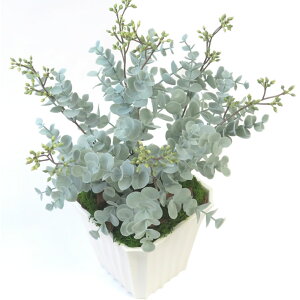 yz CeA tw lHϗtA x 9 6 5 4 tFCNO[ lHϗtA A[eBtBV  t[Mtg z V ] Vz z ] i ސE 